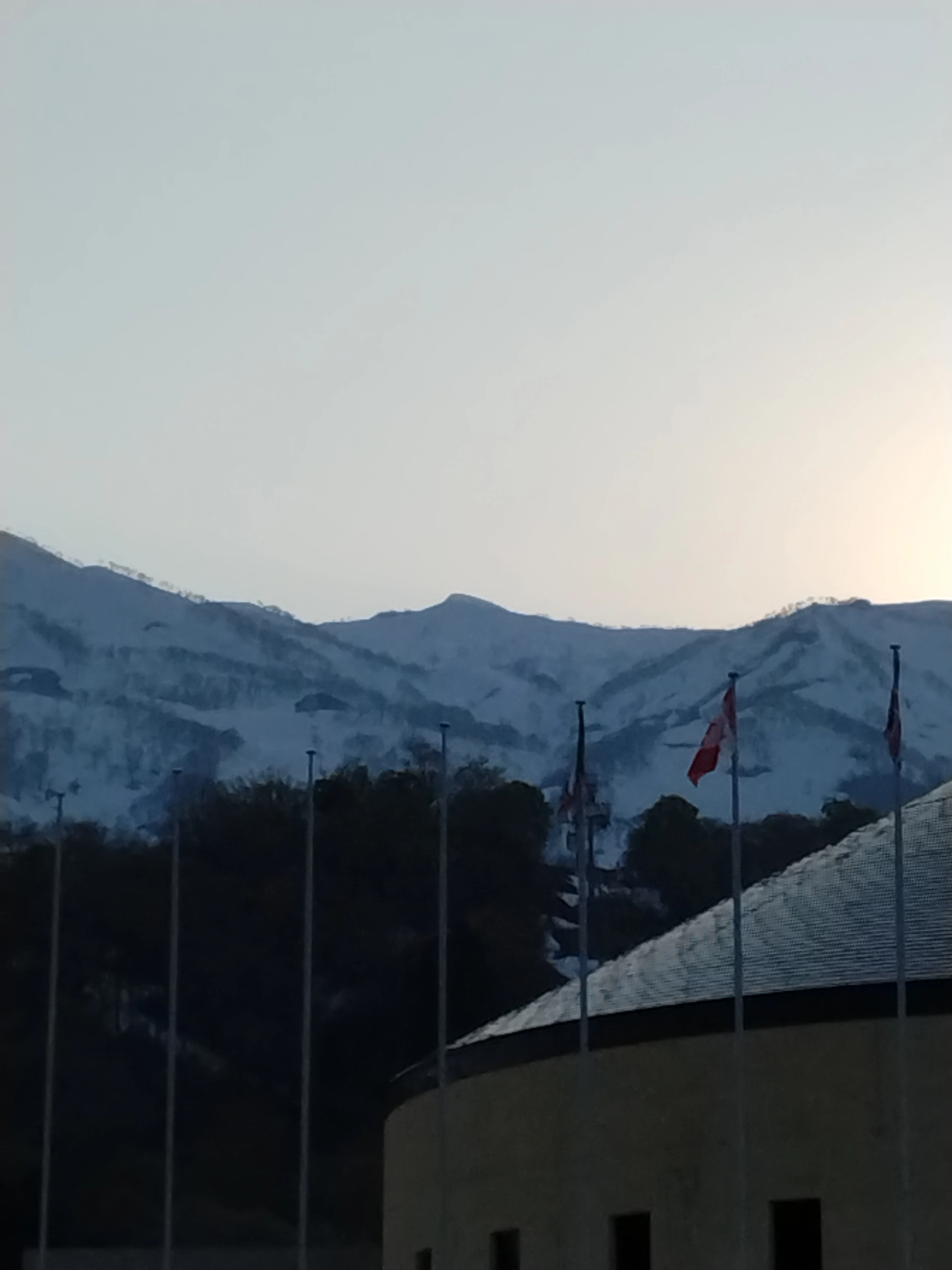 ドライバー募集の背景