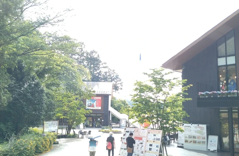 海上コンテナドライバー募集中！新たなステージを共に目指す仲間を募集しています！