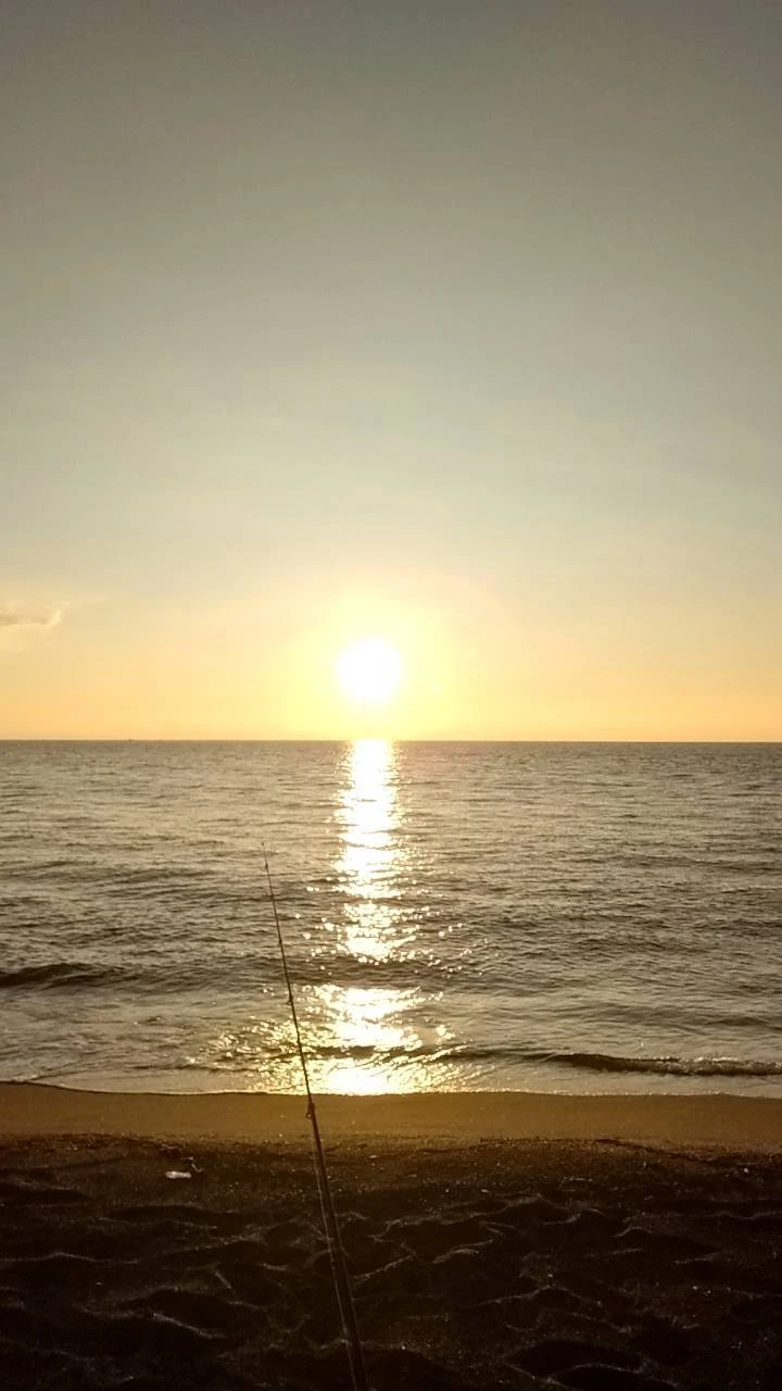 海上コンテナドライバー募集！新しい風を待っています！