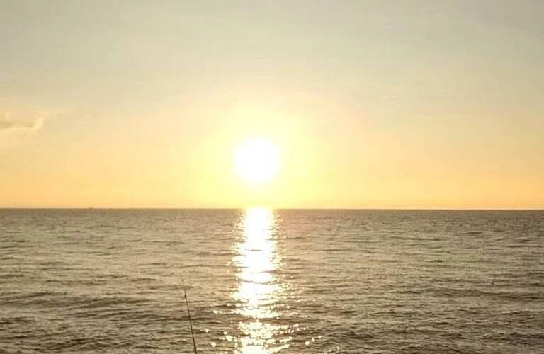 太田市で海上コンテナドライバーとして新たなスタートを切りませんか？