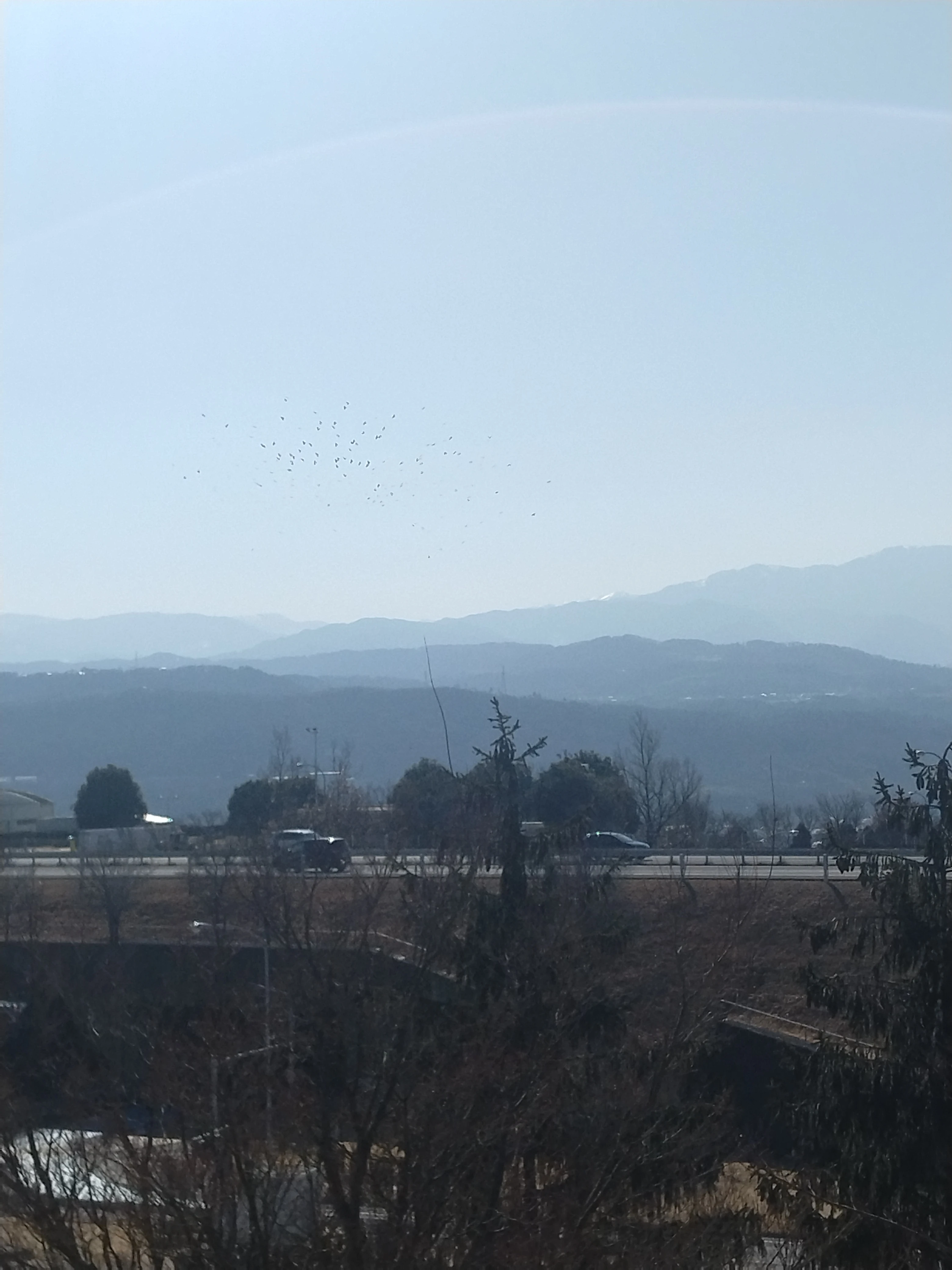 新しい風を運ぶドライバー募集！群馬県太田市であなたの力を発揮しよう。