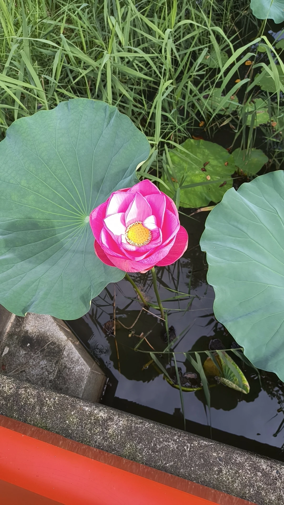 今すぐ応募しよう！