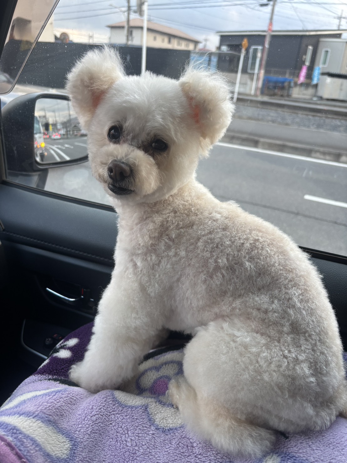 お問い合わせ・応募方法