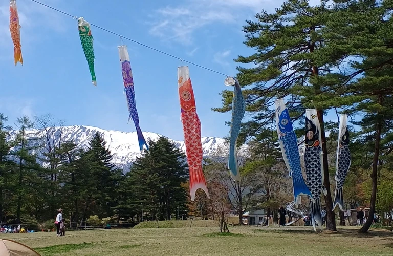 力を合わせて、確かな配送サービスを提供